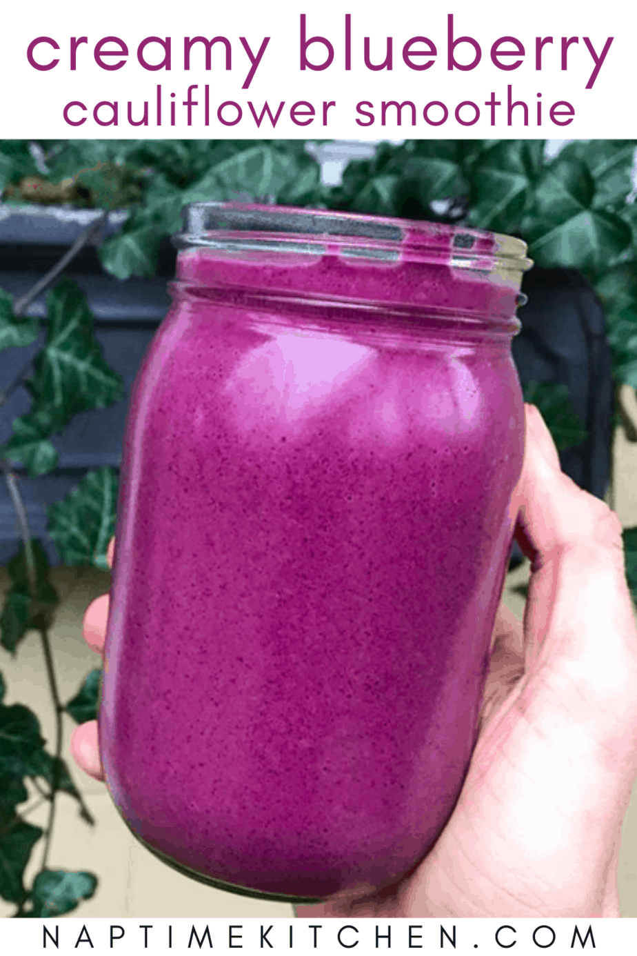 Blueberry Banana Smoothie Cubes – Gracefully Fed