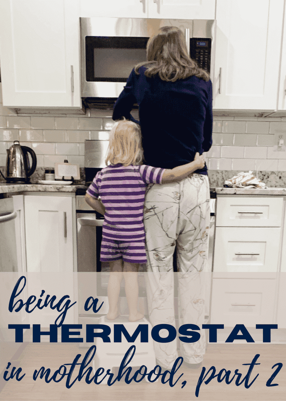 The Thermostat Part 2 Naptime Kitchen
